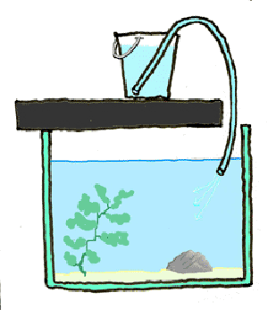 changer l'eau
